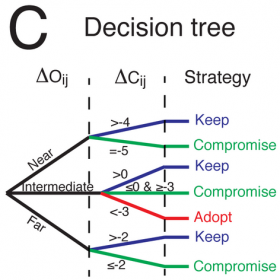 Decision tree that shows when people keep their opinon, compromise, or adopt another opinion